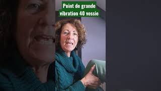 Point de grande vibration énergétique 40 Vessie derrière les genoux [upl. by Bessy]