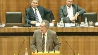 Alexander van der Bellen in der 19 Nationalratssitzung [upl. by Annatsirhc]