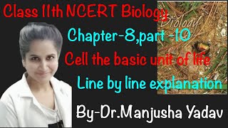 Class 11 biology ncert Cell the unit of life Chapter8 part10 cilia and flagella [upl. by Eremihc348]