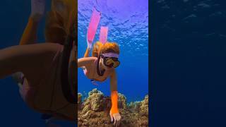 Freediver explores the reef🧜‍♀️ freediver freediving oceansounds underwater mermaidlife asmr [upl. by Martelli]