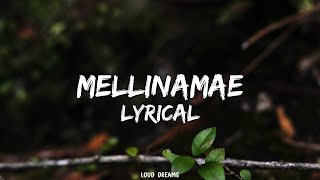 Mellinamae Mellinamea Cover Song Lyrics [upl. by Naenaj712]