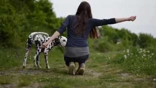 Dog Tricks by Dalmatian Yuma 2 [upl. by Hareema]