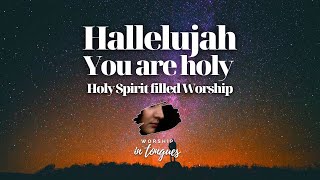 27 MIN WORSHIP SPEAKING IN TONGUES  SPONTANEOUS  ANOINTED  HALLELUJAH YOU ARE HOLY [upl. by Ailuig]