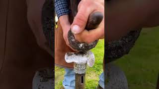 Expert Horseshoe Repair amp Nailing  Ensuring Ultimate Comfort for Horses horse part 1 [upl. by Eeuqram]