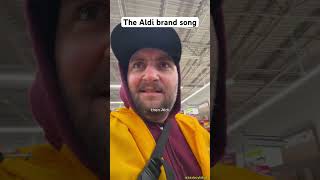 The aldi brands song aldi aldifinds aldihaul pittsburgh grocerystore groceryshopping 412 [upl. by Nahama]