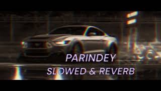 PARINDEY SLOWED amp REVERB SONG [upl. by Rafe624]