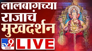 Lalbagcha Raja LIVE  लालबागच्या राजाचं मुखदर्शन लाईव्ह  Ganesh Ustav 2024 LIVE  tv9 Marathi LIVE [upl. by Ennaerb]