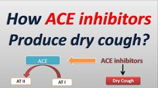 How ACE inhibitors produce dry cough [upl. by Neslund]