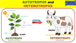 AUTOTROPHS and HETEROTROPHS [upl. by Edivad145]