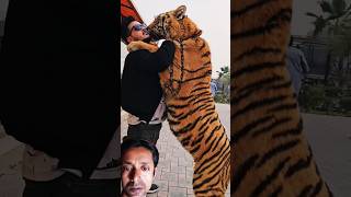 Tiger wants to kiss meyoutubeshorts youtube video [upl. by Airbmak]