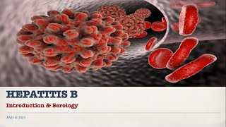 HEPATITIS B SEROLOGY [upl. by Casar]