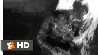 Creature from the Black Lagoon 610 Movie CLIP  The Creature Escapes 1954 HD [upl. by Favrot]