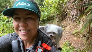 South Slough Estuary Hike 3 Mile Loop [upl. by Yellehs653]