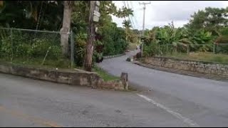 Welchman Hall St Thomas Barbados 🇧🇧 [upl. by Adebayo]