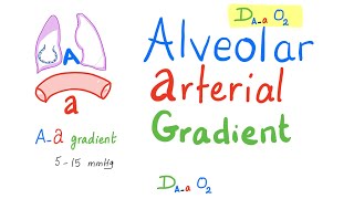 AlveolarArterial Gradient  Aa Gradient  Respiratory Physiology amp PathologyPulmonary Medicine [upl. by Riatsila]