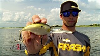 7 MustKnow Deep Diving Crankbait Tips for Big Bass [upl. by Orville443]