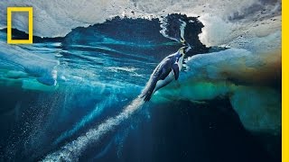 Emperor Penguins Speed Launch Out of the Water  National Geographic [upl. by Bennir]