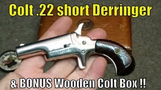 Colt 22 short Derringer  Single Shot 22 Pistol in Fancy Wooden Colt Firearms Box [upl. by Nitsirt]