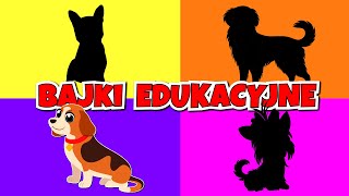 Filmy edukacyjne po polsku  Pieski  Bajki dla dzieci [upl. by Nodyarb]