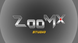 Zoom X Studio  Live Streaming amp Recording [upl. by Thanh]