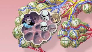 Immunology Wars  I solo ation  A COVID19 Story [upl. by Hgielrebmik]