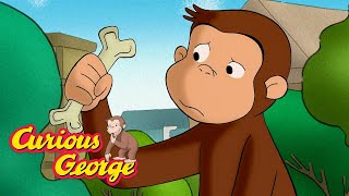 The Desert Is Full of Life 🐵 Curious George 🐵 Kids Cartoon 🐵 Kids Movies [upl. by Yalhsa]