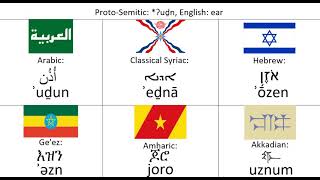 Semitic Languages  Word Comparison  2 [upl. by Netsirhk]