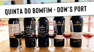 Making PORT WINE with Quinta do Bomfim Dows Port Symington Family Estates [upl. by Barthol]