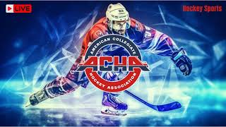 Maryville University vs Liberty University  ACHA Mens Ice Hockey 2024 [upl. by Ardiedal]