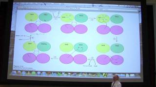 28 Biochemistry Citric Acid Cycle Lecture for Kevin Aherns BB 451551 [upl. by Viole]