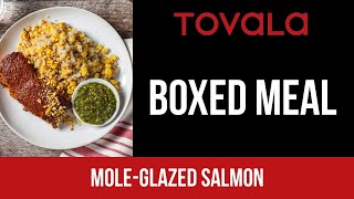 Tovala Meal  MoleGlazed Salmon [upl. by Yhtac]