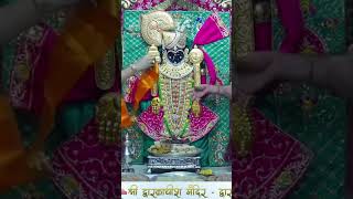 Rajbhog aarti darshan shree dwarkadhish 🙏likeforlikes trendingshorts viralsong reels gujart [upl. by Hyacinth299]