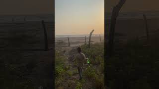 Revdanda Beach 🏖️ youtube shortvideo baby like maharashtra revdandabeach alibagh [upl. by Sundberg]