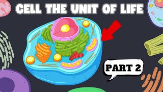 CELL THE UNIT OF LIFE  Part 2  Biology  class 11 Neet [upl. by Namzaj433]