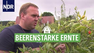 Leckere Heidelbeeren aus Niedersachsen  Die Nordreportage  NDR [upl. by Morlee]