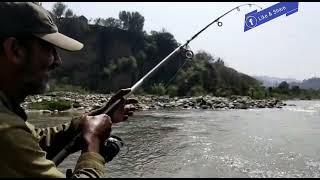 Golden Mahseer  fishing at Poonch River  Fishing Videos  fishing fishingvideo [upl. by Guria]