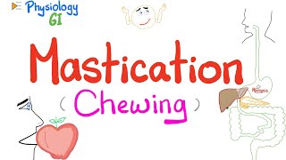 Mastication chewing   Mastication Reflex  Gastrointestinal Physiology [upl. by Darryl]