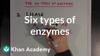 Six types of enzymes  Chemical Processes  MCAT  Khan Academy [upl. by Larner330]