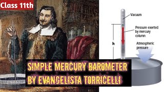 Simple Mercury Barometer By Evangelista Torricelli Class11th physics [upl. by Akeirahs219]