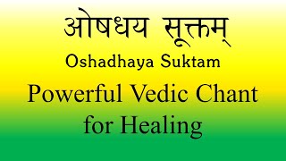 POWERFUL Mantra for Medicinal Healing  Oshadhaya Suktam  Yajur Veda  Produced by Sri K Suresh [upl. by Beshore]