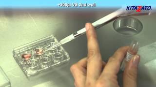 Kitazato Cryotop® Embryo Vitrification  Open System [upl. by Bardo]