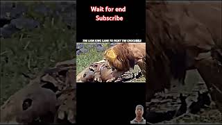 Tiger and magarmacch short videoTiger and magarmacch short video [upl. by Toille]