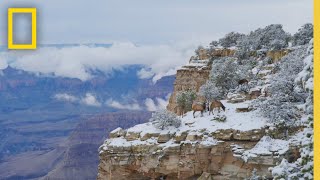 Americas National Parks  National Geographic [upl. by Maloney439]