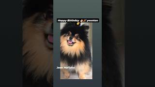 Happy Birthday yeontan 🥳🎉bts yeontan birthday btsofficialbighit kpopfandom boybandfandom [upl. by Ybroc]