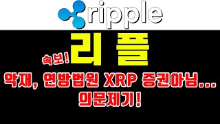 리플 속보 악재 연방법원 XRP 증권아님의문제기 [upl. by Girardo]