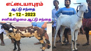 2  12  2023  எட்டையாபுரம் ஆட்டு சந்தை  Ettayapuram Goat Sheep Market  tamilvivasayi [upl. by Bran802]