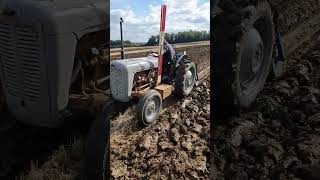 1957 Ferguson FE35 Gold Belly 23 Litre 4Cyl Diesel 34 HP with Ransomes Plough KVAC [upl. by Aynotal]