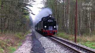 Eisenbahn 2012 25 Dampfloks  Steam Trains  Züge [upl. by Lissi]