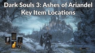 Dark Souls 3 Ashes of Ariandel  Key Item Walkthrough  Guide [upl. by Harragan]