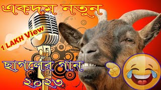 ছাগলের গান  Goat song  Goat song  Bangla Funny video Sagol Songs [upl. by Ruhl]